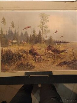 Obrázky s mysliveckou tématikou