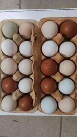 Nasadova vajíčka - 1