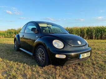Beetle - Brouk