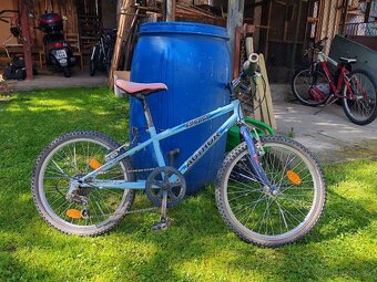 Dětské kolo Author