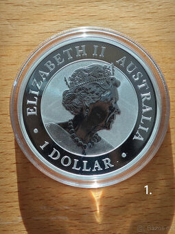 1oz stříbrná mince