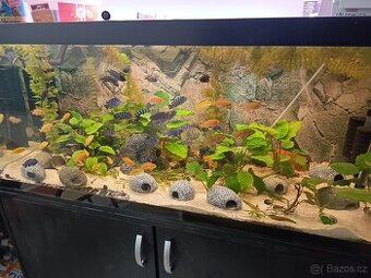 Akvarijní set 300l kompletní viz foto