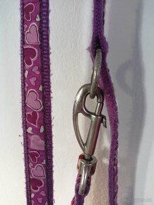 Vodítko Red Dingo pro psy