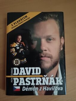 David Pastrňák Démon z Havířova