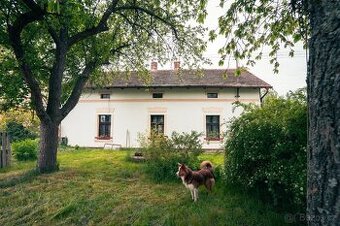 RD 4+1, 135 m² + půda, 984 m² pozemek – Vstiš u Dobřan - 1