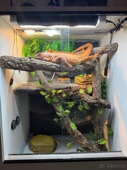 Terarium 80x50x60
