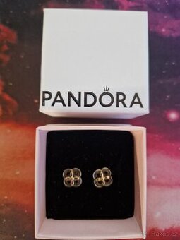 Pandora zlato-sříbrné naušnice