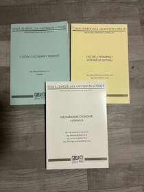 ČZU-MEZINÁRODNÍ EKONOMIE,CVIČENÍ Z EKONOMIKY PODNIKŮ