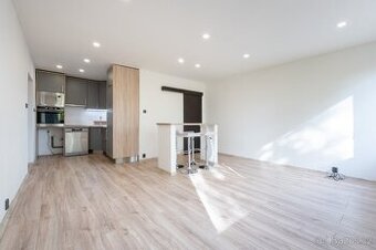 Prodej bytu 2+kk 48 m² Alejní, Chlumec - 1