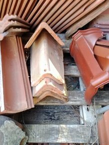 hřebenáč atyp trojúhelník