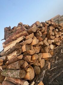 Měkké dřevo - 1