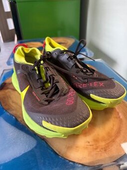 Nike Pegasus