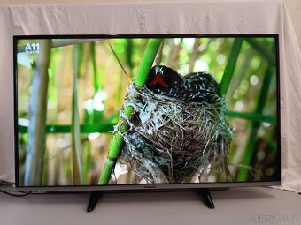 Panasonic TX-42AS600E,107cm,Full HD,Smart+Wifi