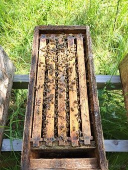 Včeli oddĕlky rm 39x24