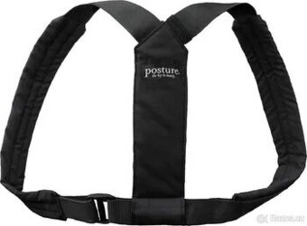 Flexi Swedish Posture - 1