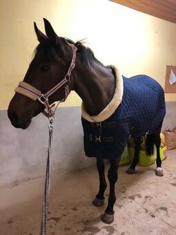 Deka  Kentucky Rug stájová 160g velikost 140cm rezervace