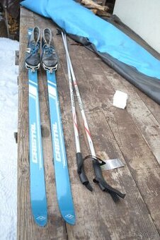 pěkné běžky 195 cm   , boty EU 39 , hole 160 cm