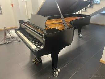 Steinway & Sons Modell D- 274 cm Only now super price