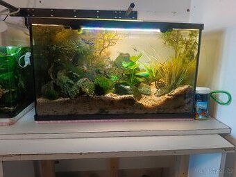 SPĚCHÁ komplet vybavene akvarium včetně osazenstva
