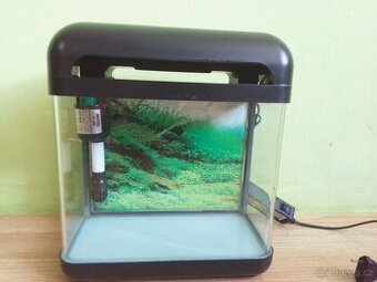 Akvárium pro Betu