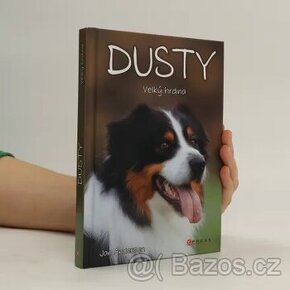 Poptávám Dusty: Velký hrdina