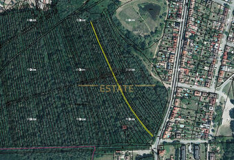 Prodej podílu id. 1/3 na lesním pozemku v k.ú. Ratíškovice - 1