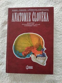 Anatomie člověka