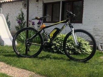 Crussis 29”