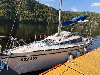 kajutová plachetnice Pegasus 700