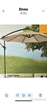 Slunečník stranový