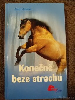 Konečně beze strachu- Gabi Adam