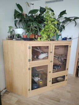 Skříňoklec pro činčily – masiv, obří prostor, nová