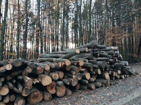 Palivové dřevo tvrdé Stráž nad Ohří