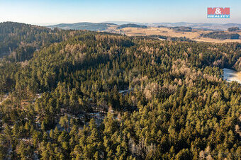 Prodej lesa, 4038 m², Volyně