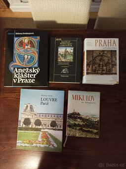 Anežský klášter v Praze, Praha středověká, Louvre Paříž atd.