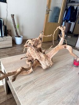 Kořen Red Moor wood XXL - 1