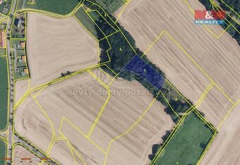 Prodej lesa, 2585 m², Cidlina, okr. Jičín - 1