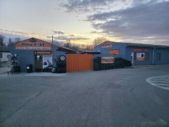 Letni / zimní pneumatiky , alu kola a disky