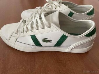 Lacoste sideline