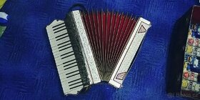 Akordeon N.Frontalini