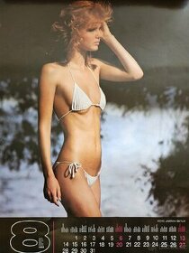 POPTÁVKA - staré kalendáře, plakáty s modelkami