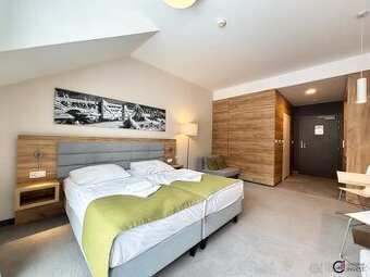 Prodej apartmánu 28 m², Dolní Morava, ev.č. 00749