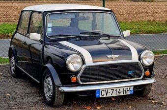 Austin MINI ROVER  1000