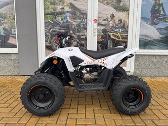 Linhai ATV 110