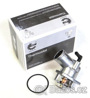 Termstat Opel Astra G.