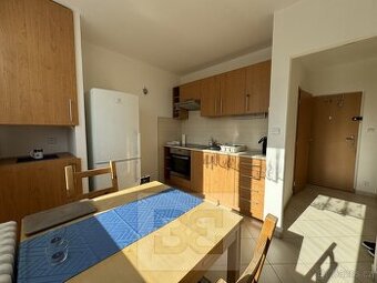 Pronájem byty 1+1, 35 m2 - Brno - Kohoutovice, ev.č. N08043 - 1
