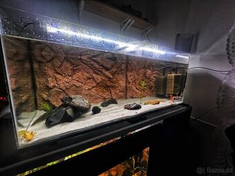 Akvárium 160l