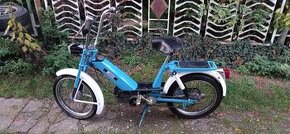 Babetta 207