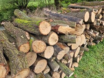 Palivové dřevo tvrdé metrovky skladané