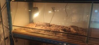 Terárium celoskleněné 115x h 60 x v 50 , Horní i dolni větrá